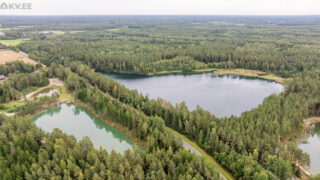 Müüa maatükk — Pärnumaa, Pärnu, Paikuse, Seljametsa küla, Seljametsa järv