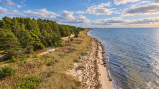 Müüa maatükk — Läänemaa, Lääne-Nigula vald, Riguldi/Rickul, Ees-Sipsi